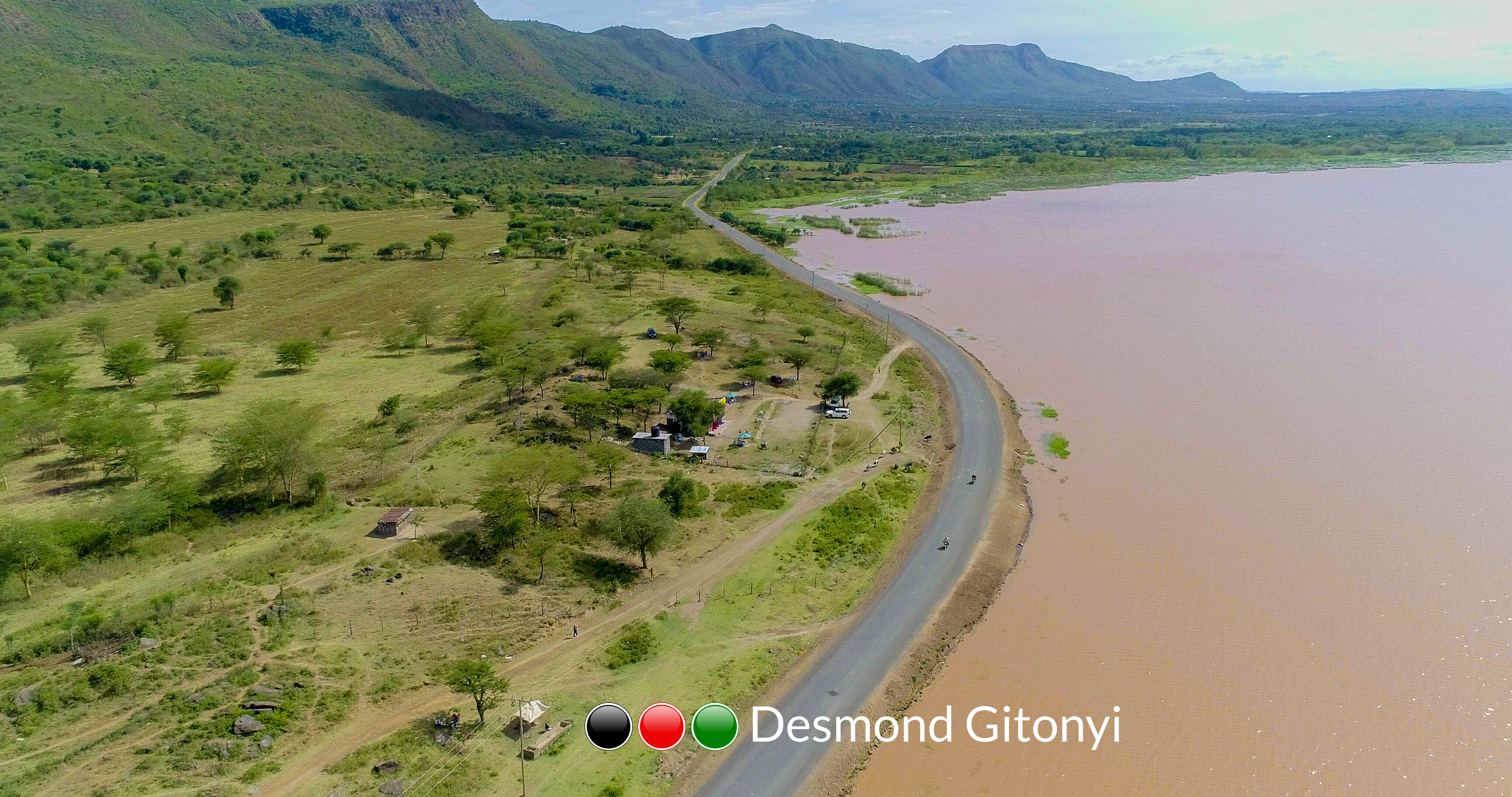 Forest landscape in mist